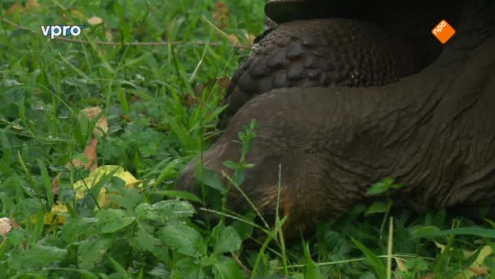 Freeks Wilde Wereld | Alleen op de Galapagos