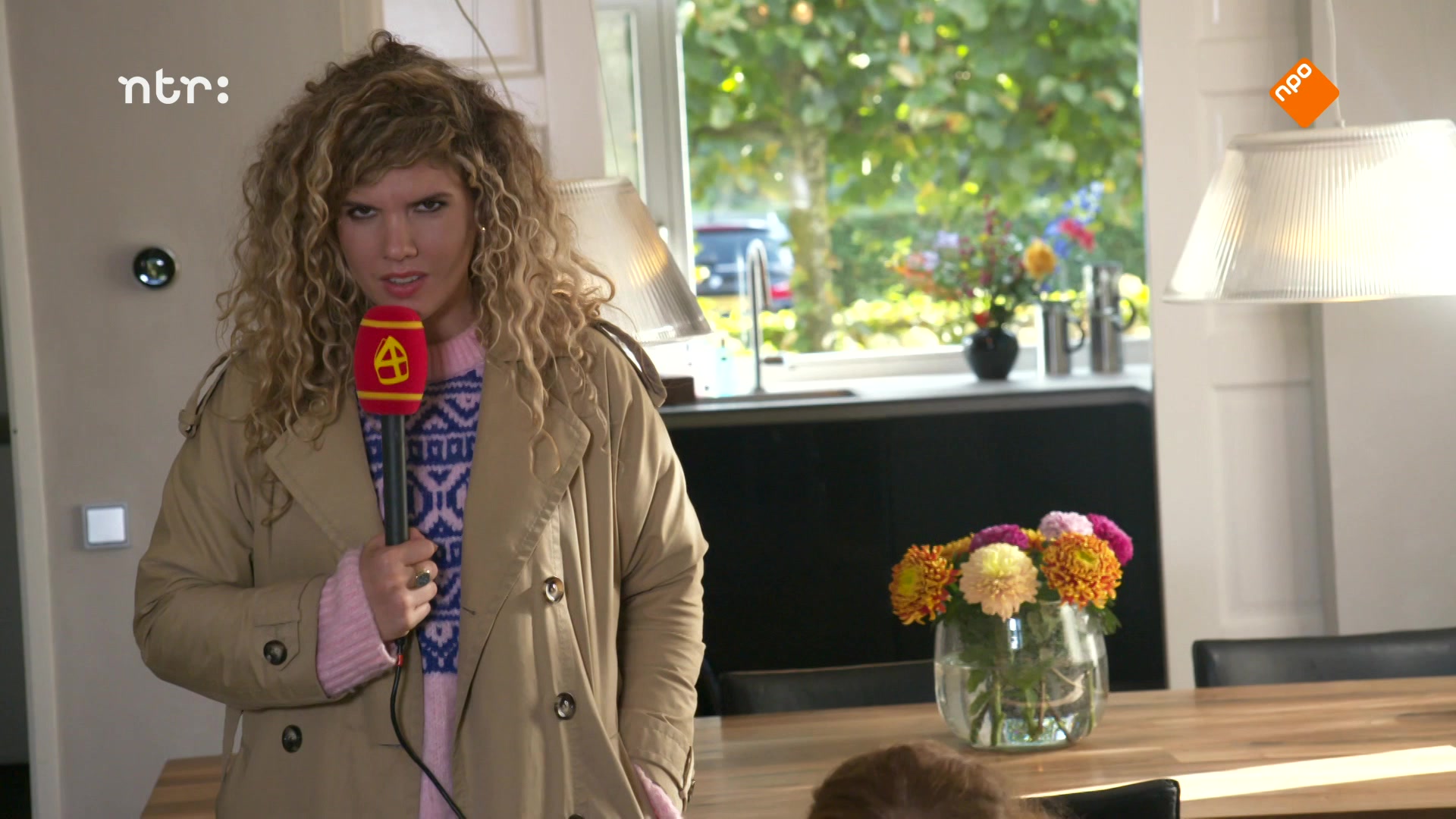 Het Sinterklaasjournaal