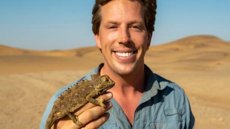 Freeks Wilde Wereld | Stinkende langnekken