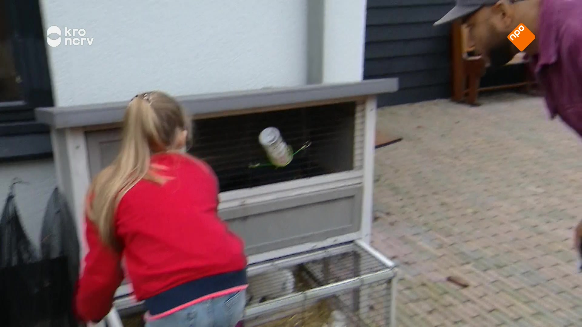 Nieuwe Baasjes