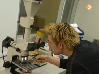 Het Klokhuis | Dvd.