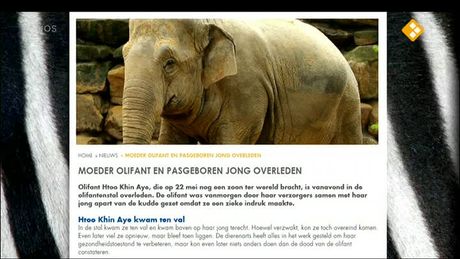 Het NOS Jeugdjournaal | NOS Jeugdjournaal