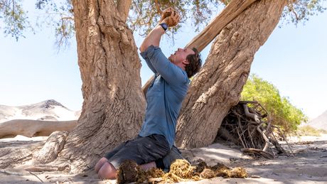 Freeks Wilde Wereld | Nomaden van de Namib