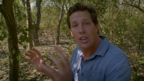Freeks Wilde Wereld | Olifantenscheet