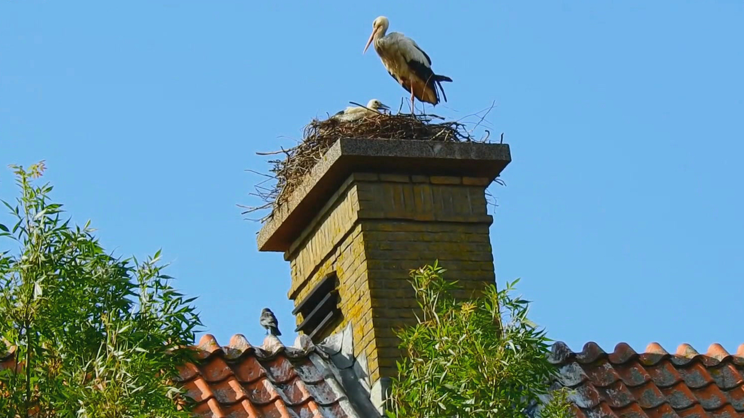 Natuur de Luxe | NATUUR DE LUXE