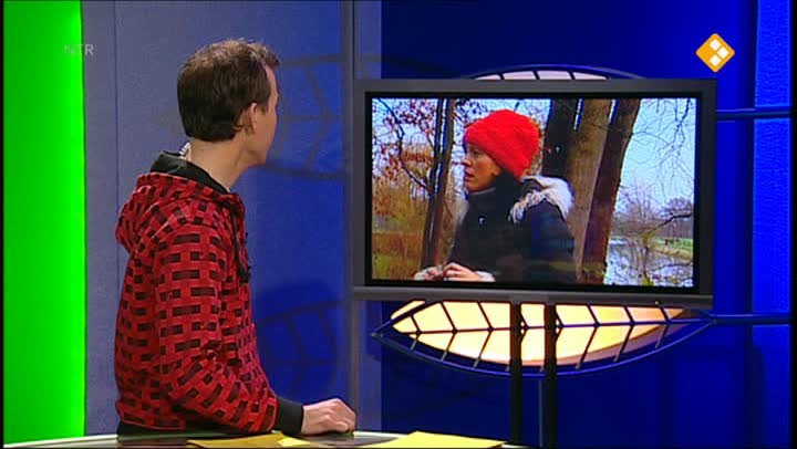 De Buitendienst  | Tuinvogels