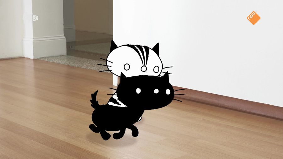 Pim & Pom