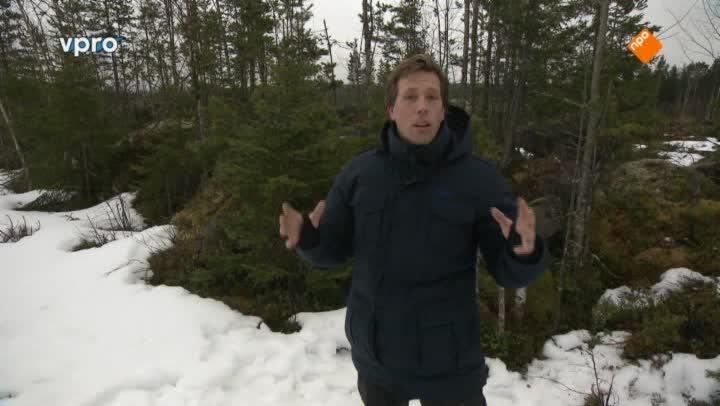 Freeks Wilde Wereld | Zweden - Sporen in de sneeuw