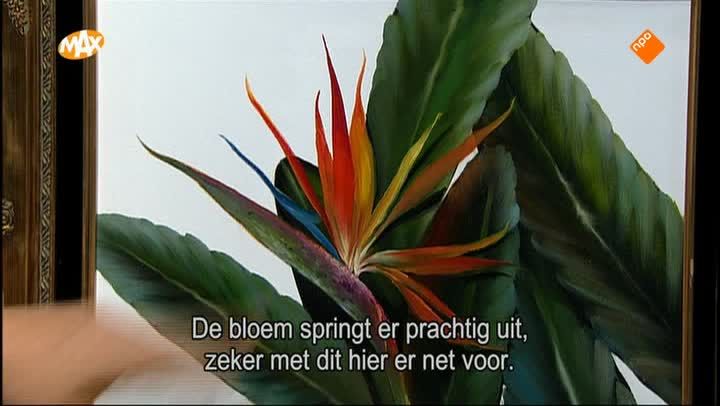 Tropisch Paradijs