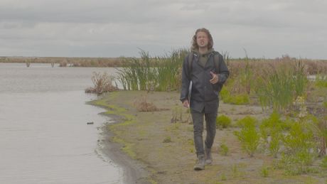 Het Klokhuis | Marker Wadden - Nieuwe eilanden