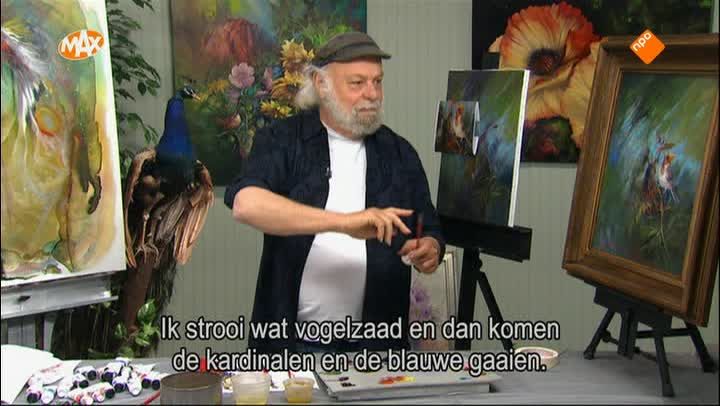 Ochtend kardinaaltjes
