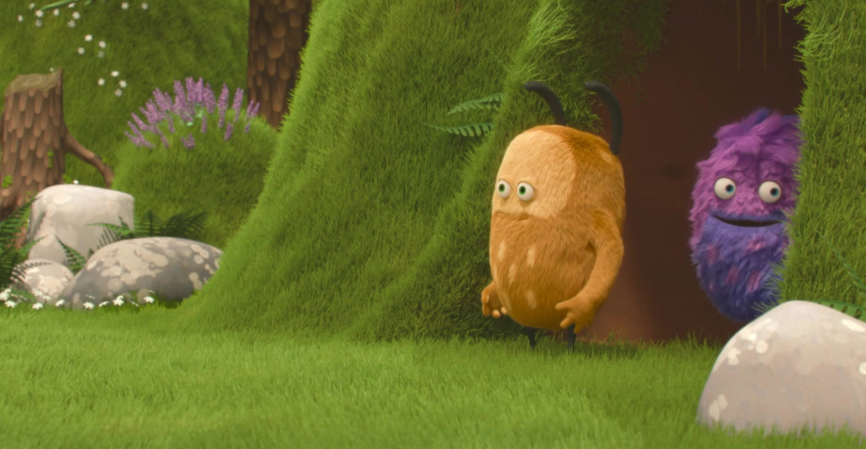 Kiwi & Strit