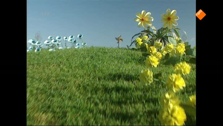 Teletubbies