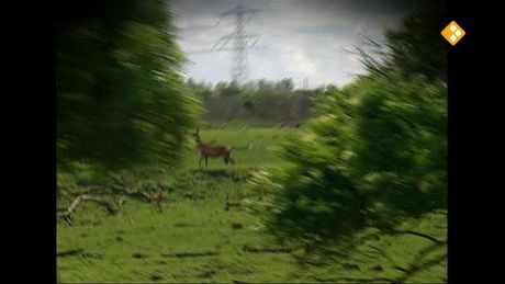 Het Klokhuis | Oostvaardersplassen