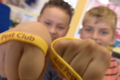 Anti Pest Club | Eigen Anti Pest Club