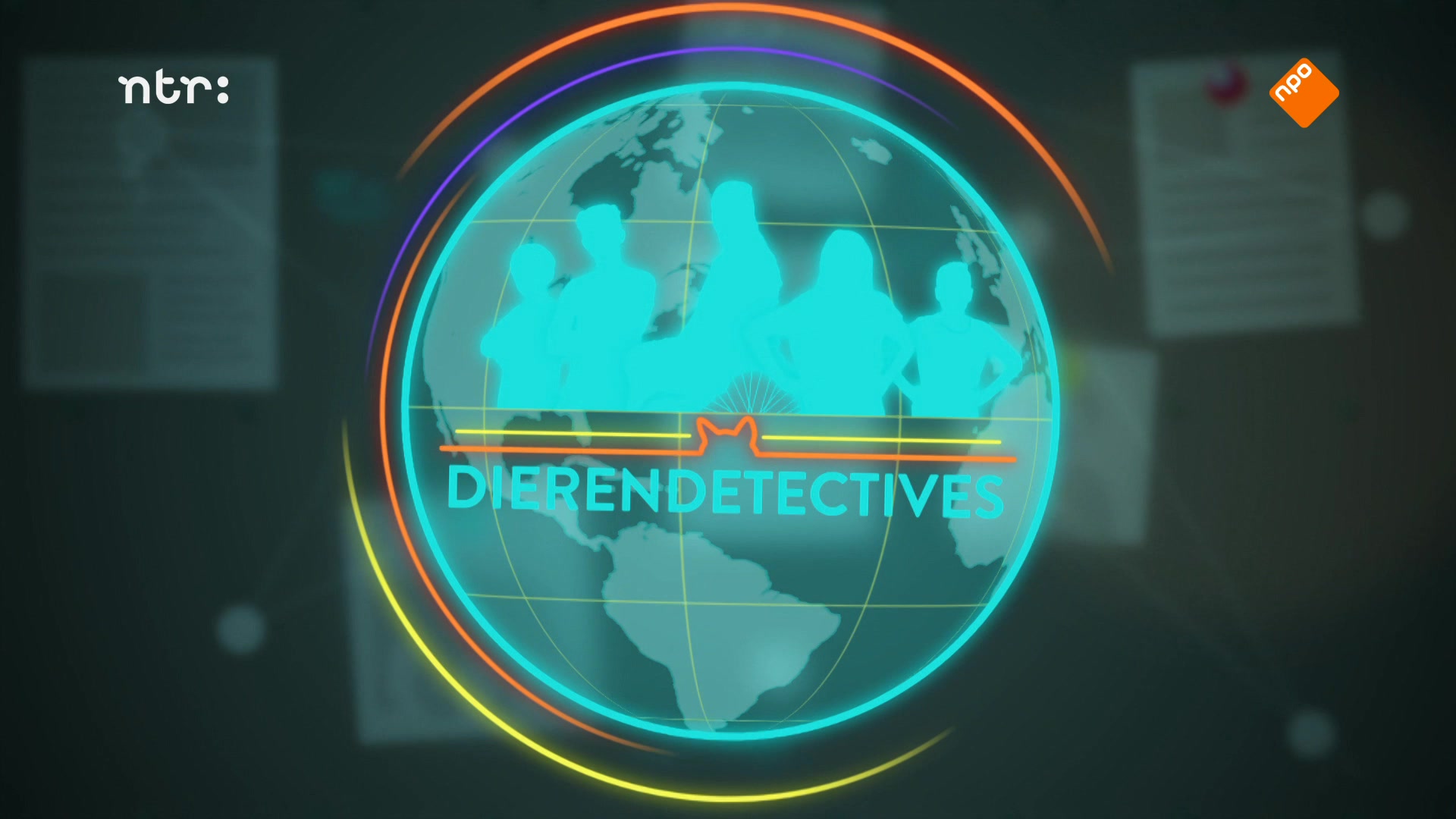 DierenDetectives | Een groep Dolfijnen