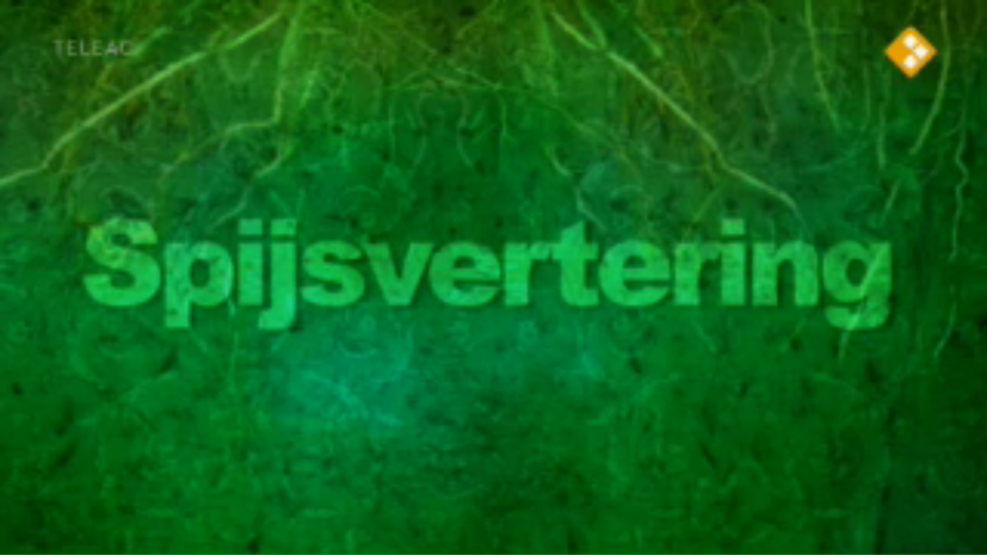 De Buitendienst  | Spijsvertering