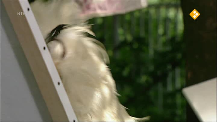 Huisje Boompje Beestje