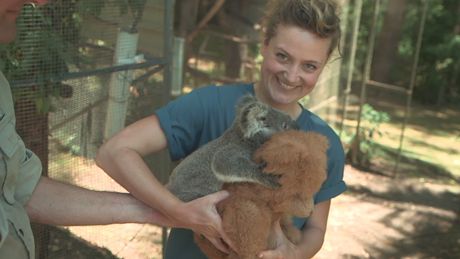 Het Klokhuis | Koala