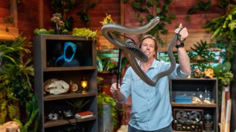 Freeks Jungle School | Zwarte mamba