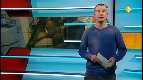 Het NOS Jeugdjournaal | NOS Jeugdjournaal