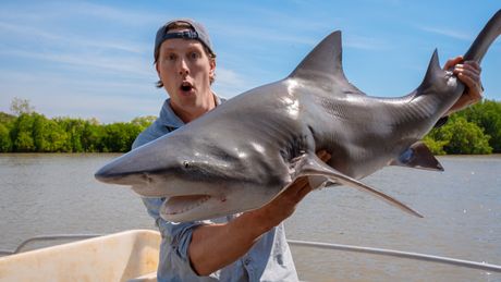 Freeks Wilde Wereld | Haaien in de rivier