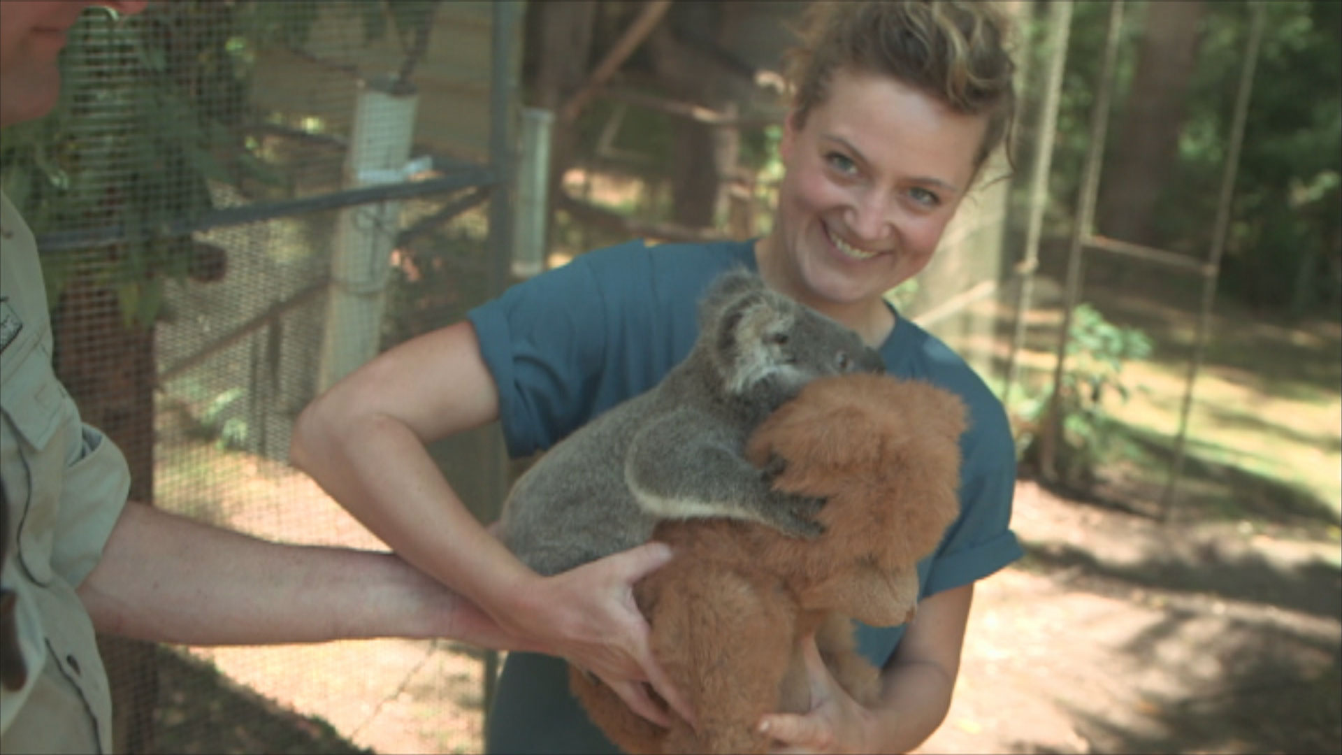 Het Klokhuis | Koala