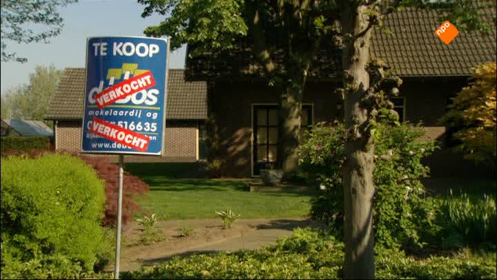Koen Kampioen | Maxi