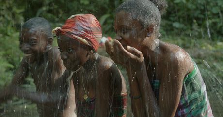 Kinderen van Mavungu | De rots en de specht