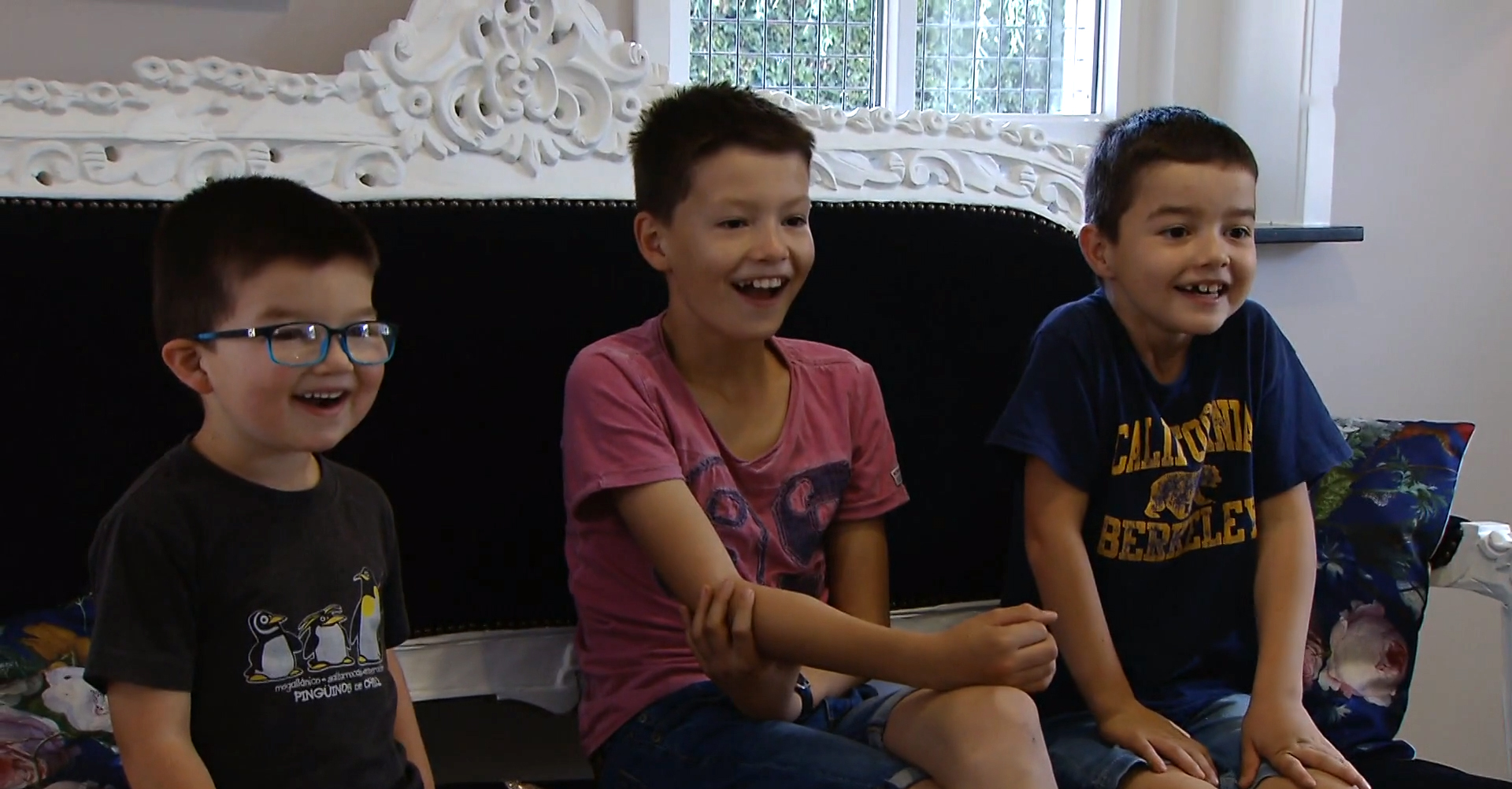 Nieuwe Baasjes | Familie Houbraken - Pauw