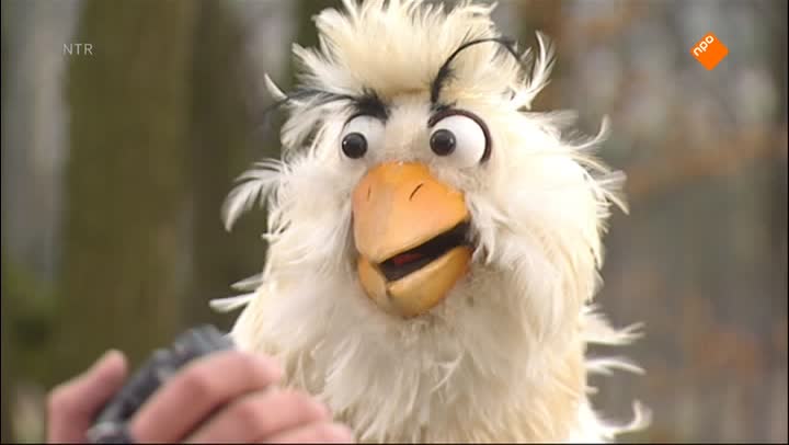 Huisje Boompje Beestje
