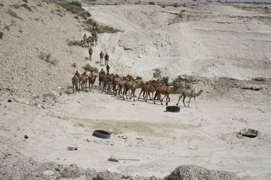 Retourtje Israël | Retourtje Israël: Kerst