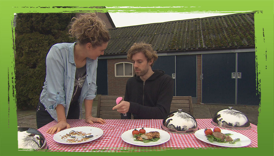 Zijn insecten handig of irritant?