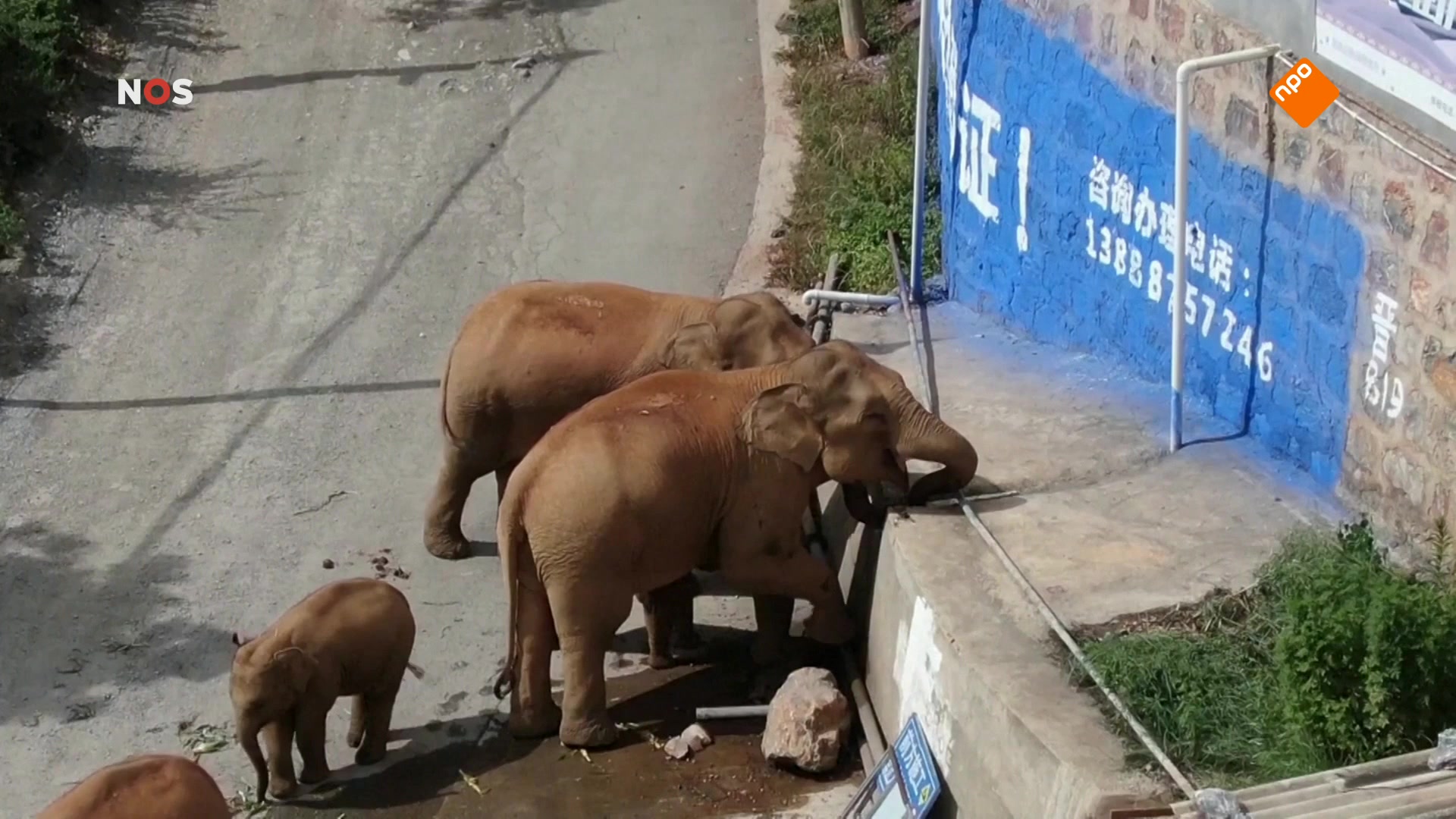 Het NOS Jeugdjournaal | NOS Jeugdjournaal