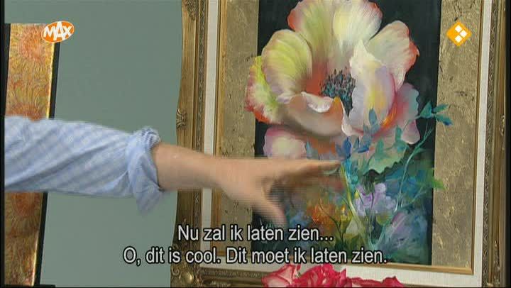 Klaproos met Gouden Rand