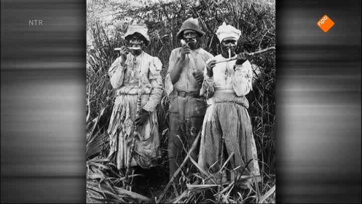 Het Klokhuis | Reggae
