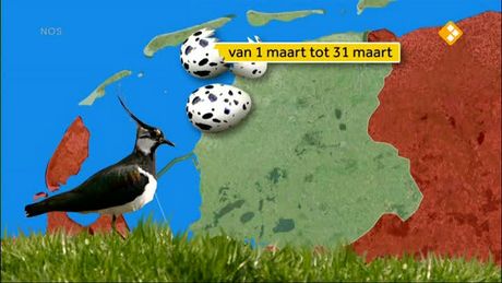Het NOS Jeugdjournaal | NOS Jeugdjournaal