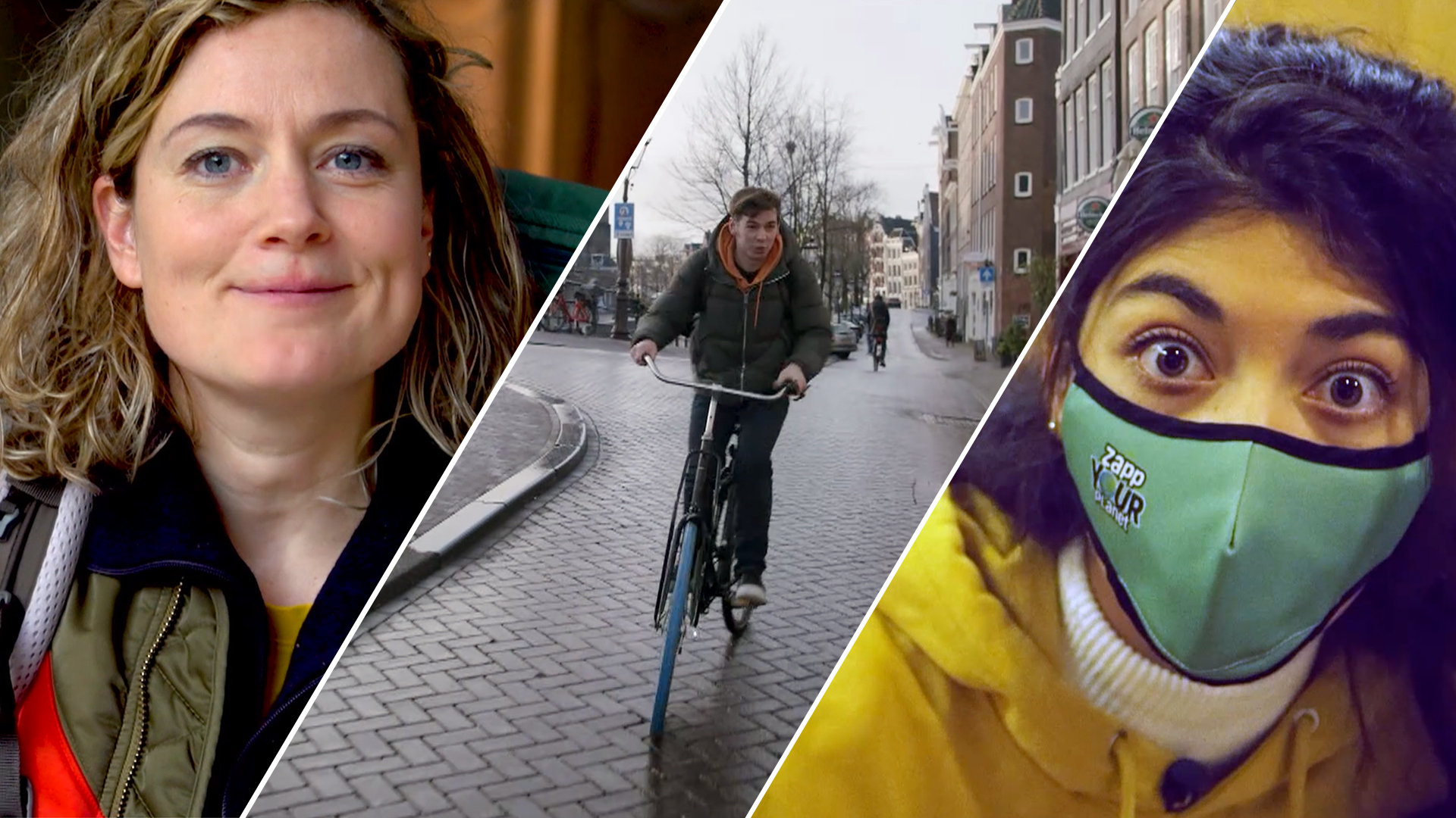 Hoe overleeft een vos in de stad en wat gebeurt...