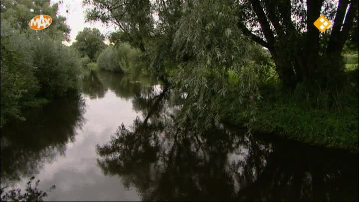Compilatie