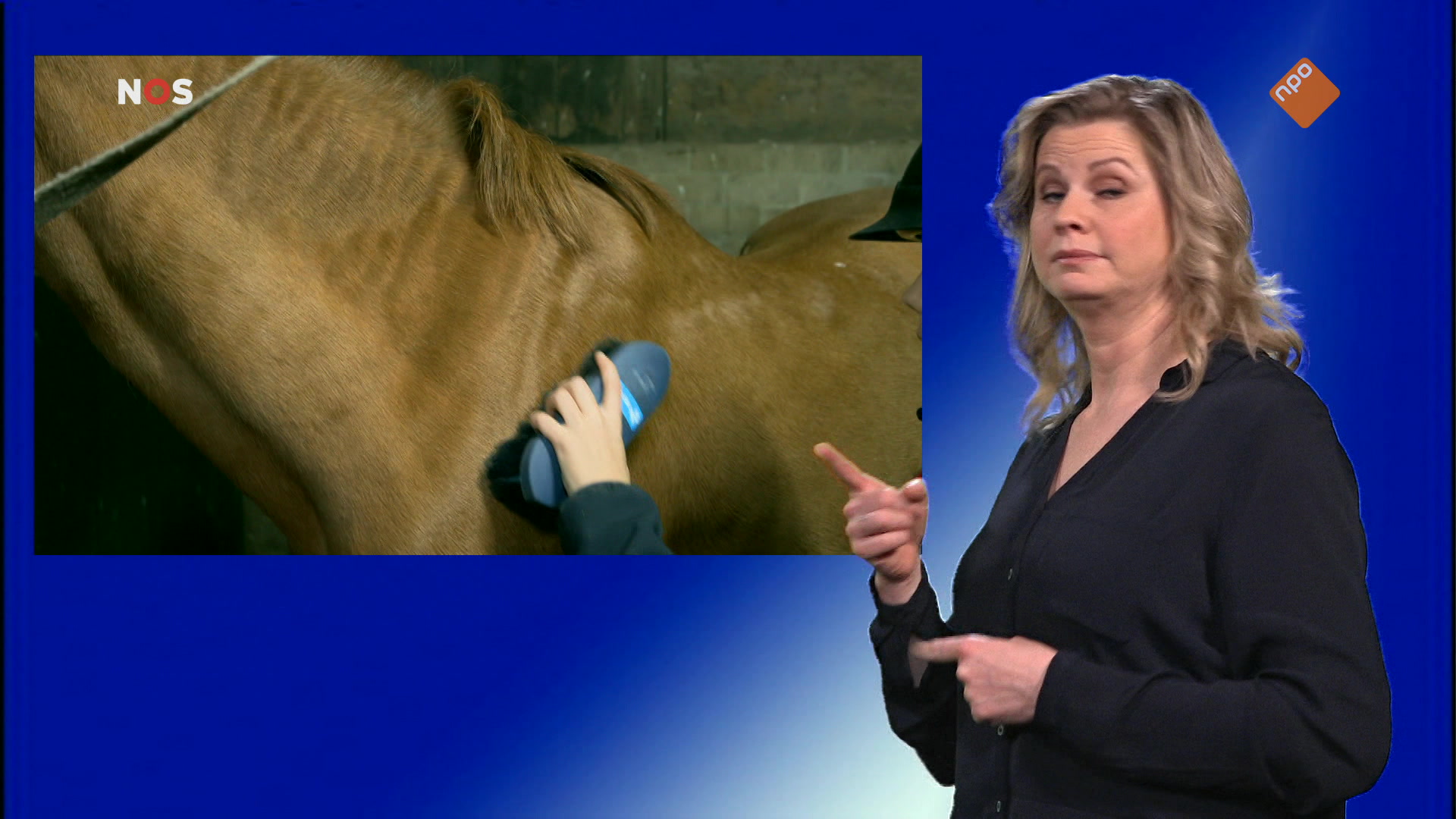 NOS Jeugdjournaal met gebarentaal