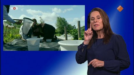 NOS Jeugdjournaal met gebarentaal