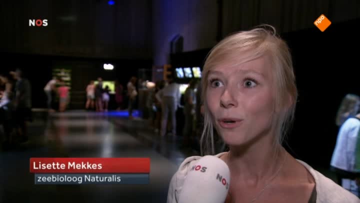 Het NOS Jeugdjournaal | NOS Jeugdjournaal