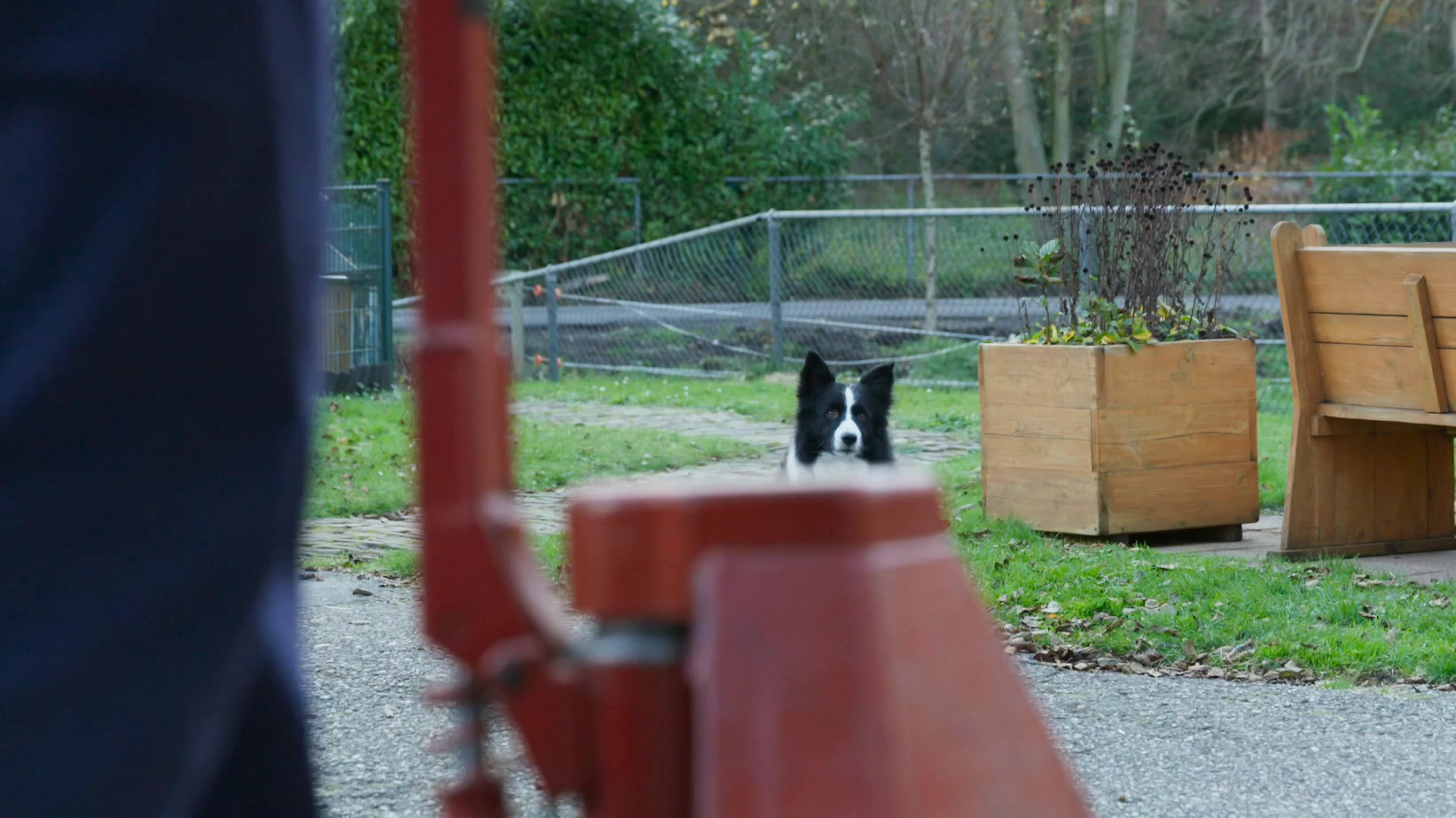 Puppy Patrol | Dapper Spoorloos