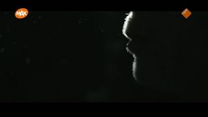 Agressie in de thuiszorg