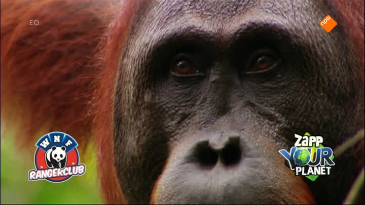Zapp Your Planet | Zapp Your Planet Journaal