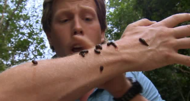 Freeks Wilde Wereld | Bloeddorstige beestjes
