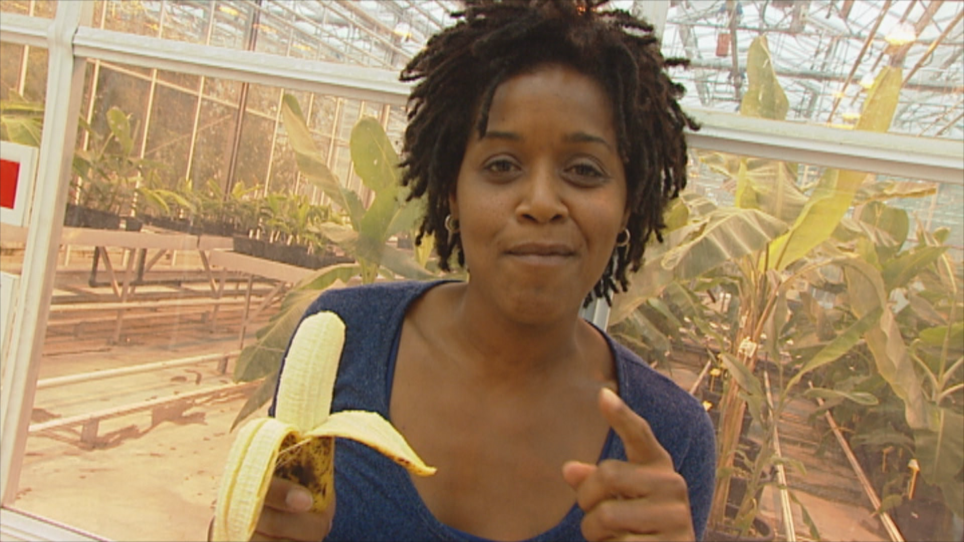Het Klokhuis | Banaan