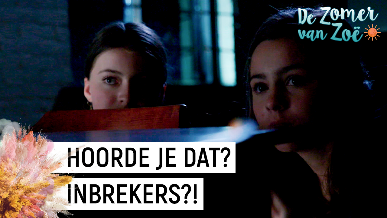 De zomer van Zoë