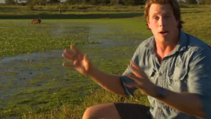 Freeks Wilde Wereld | Dieren op laag water!