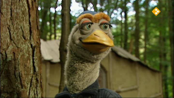 Koekeloere